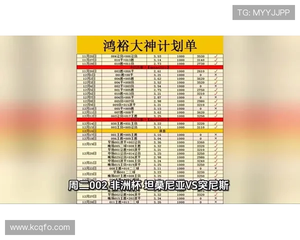 2019年非洲杯加纳与突尼斯激战回顾与精彩瞬间分析