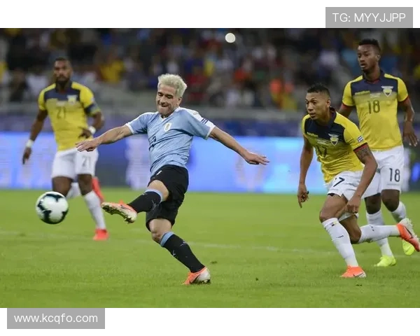 美洲杯精彩对决厄瓜多尔迎战智利球队全力争胜